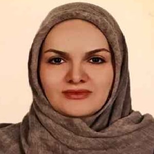 وکیل سمیه ابراهیمی