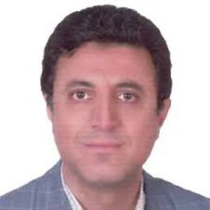 وکیل حسین امینی