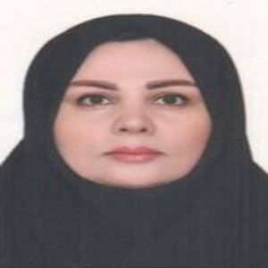 وکیل کبری حسینی